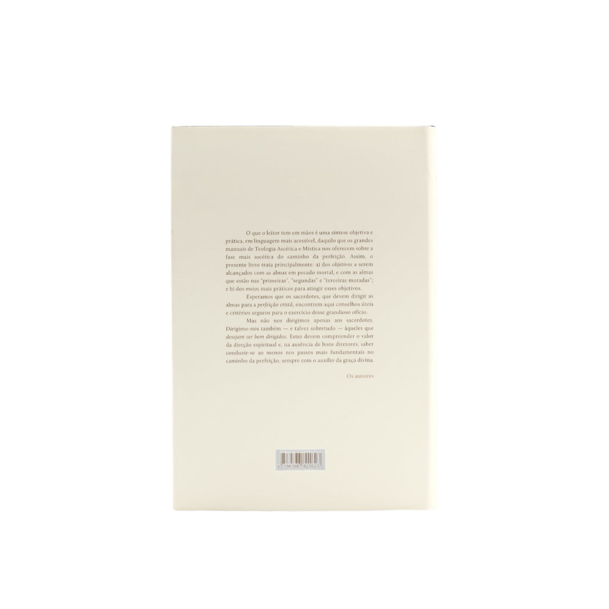 Direção Espiritual - Manual prático para padres e leigos