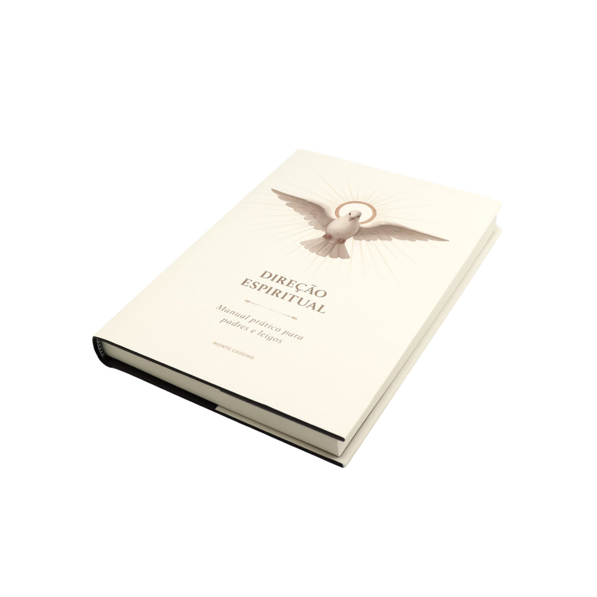 Direção Espiritual - Manual prático para padres e leigos
