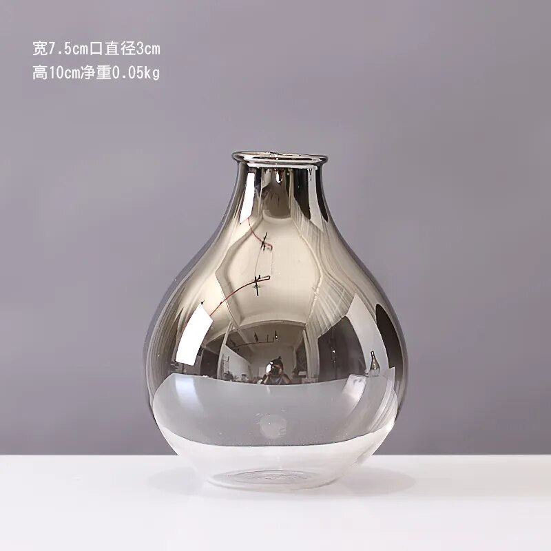 Vaso decorativo moderno para planta de vidro