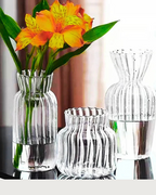 Vaso de Vidro Nórdico Transparente para Decoração de Flores e Arranjos