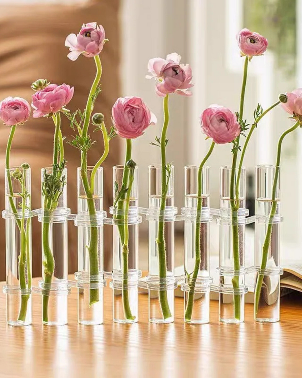 Vasos de Vidro Suspensos para Plantas Kit 4 ou 6 Unidades