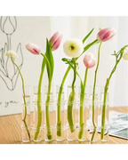 Vasos de Vidro Suspensos para Plantas Kit 4 ou 6 Unidades